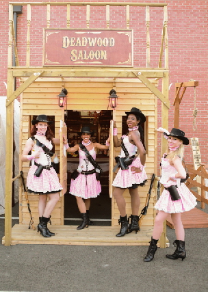 Deadwood Saloon shooting gallery game for hire